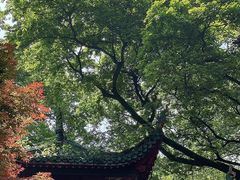 -岳麓山风景名胜区