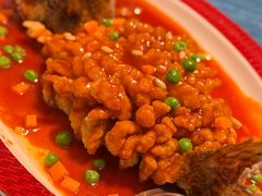 -圆苑(静安寺店)