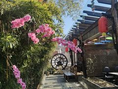 -慢丽江·云南野生菌土鸡锅(付家庄店)