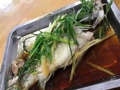 -阿鸟农庄(石壁店)