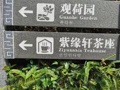 -云溪植物园