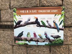 -九龙公园