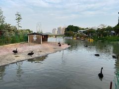 -琅岐红光湖公园