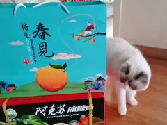 -胡家庙水果批发市场