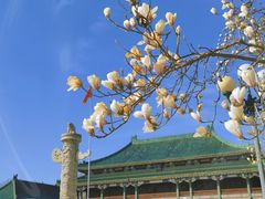 -国家图书馆·古籍馆