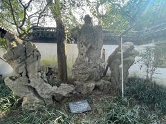 -秋霞圃