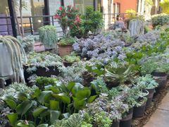 -山菌美食苑(振兴路店)