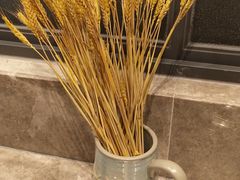 -比格比萨自助(万柳华联店)