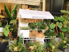 -植物学家的女儿(北马道巷店)