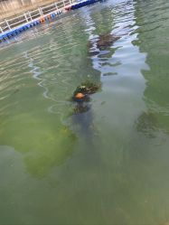 -星海水上乐园(星海广场圣亚店)