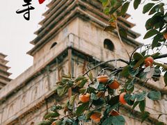 -北京石刻艺术博物馆(五塔寺)