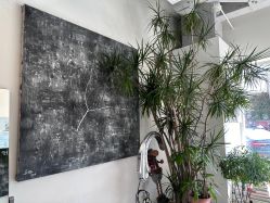 -Hair  Gallery