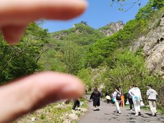 -大连天门山国家森林公园