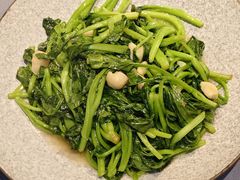 -兴隆·小隆台·温岭菜