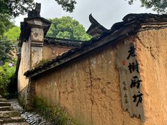 -杨家堂村