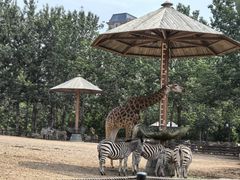 -大连森林动物园