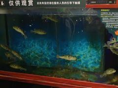 -肆月河豚·新淮扬(金融街店)