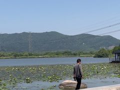 -长田漾湿地公园