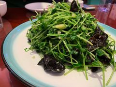 清炒豆芽菜-赵记煎饼卷大葱(东岳店)