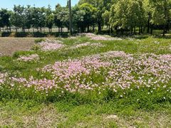 -嘉北郊野公园