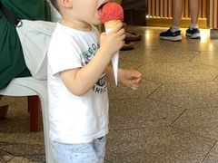 -Dal Cuore 达可芮冰淇淋(陕西北路店)