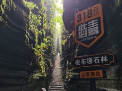 -梭布垭石林景区