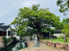 -缥缈峰景区