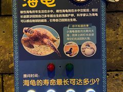 -波塞冬海底世界