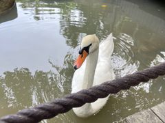 -呀诺达热带雨林