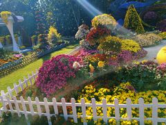 -上海共青森林公园