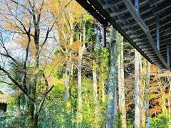 -三千院
