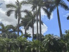 -人民公园(罗湖区)