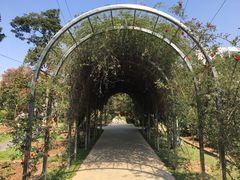 -人民公园(罗湖区)