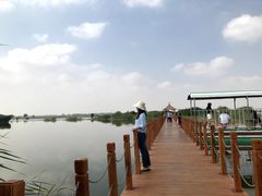 -亿利库布其七星湖沙漠生态旅游区