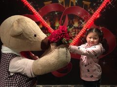 -济州岛泰迪熊博物馆