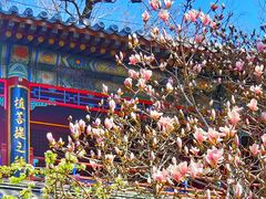-潭柘寺景区