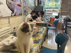 -平行世界·猫咖(首经贸店)