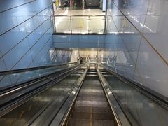 -大龙山(地铁站)