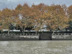 -运河游船(武林门码头)