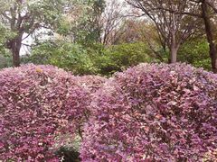 -苏州河梦清园环保主题公园