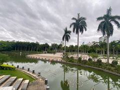 -南宁南湖公园