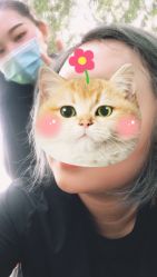 -思密达·烫染设计