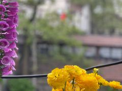 -普朗姆生蚝吧(原建国路店)