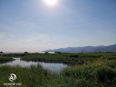 -哈素海