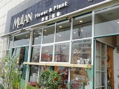 -花木兰花艺MULAN(温馨花园店)