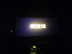 -万达影城(闵行颛桥万达广场杜比影院店)