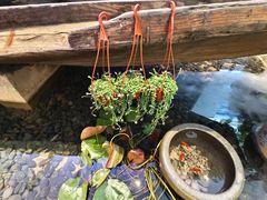 -西郊八号·山野江西菜(开发区店)