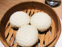 -觅唐MITONG(鸟巢店)