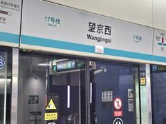 -望京西(地铁站)
