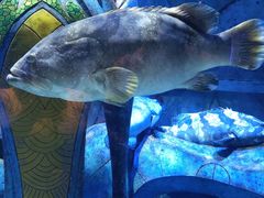 -亚龙湾海底世界